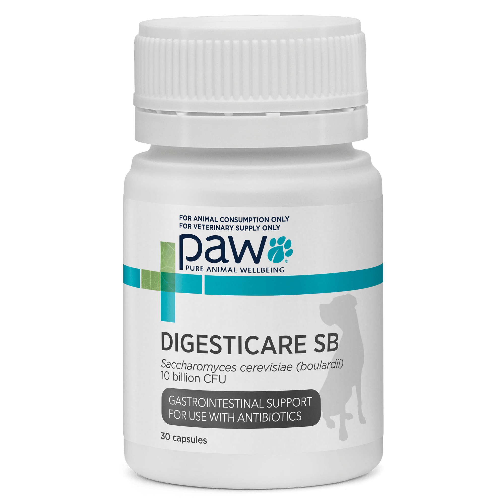 PAW DigestiCare™ SB