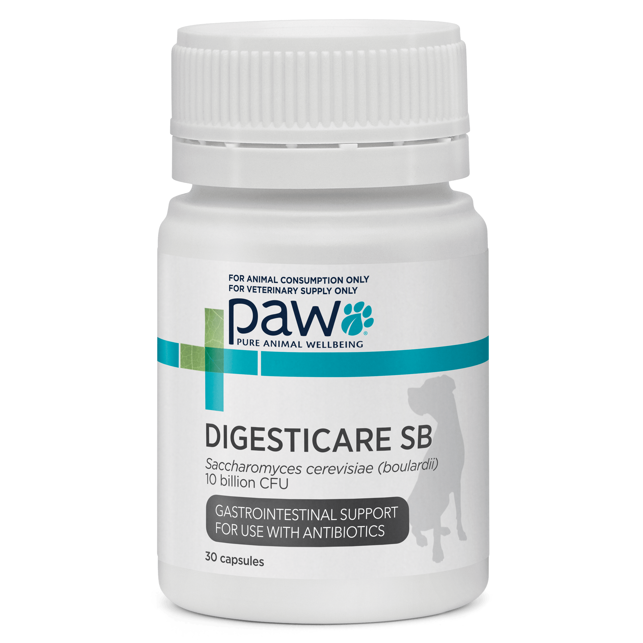 PAW DigestiCare™ SB