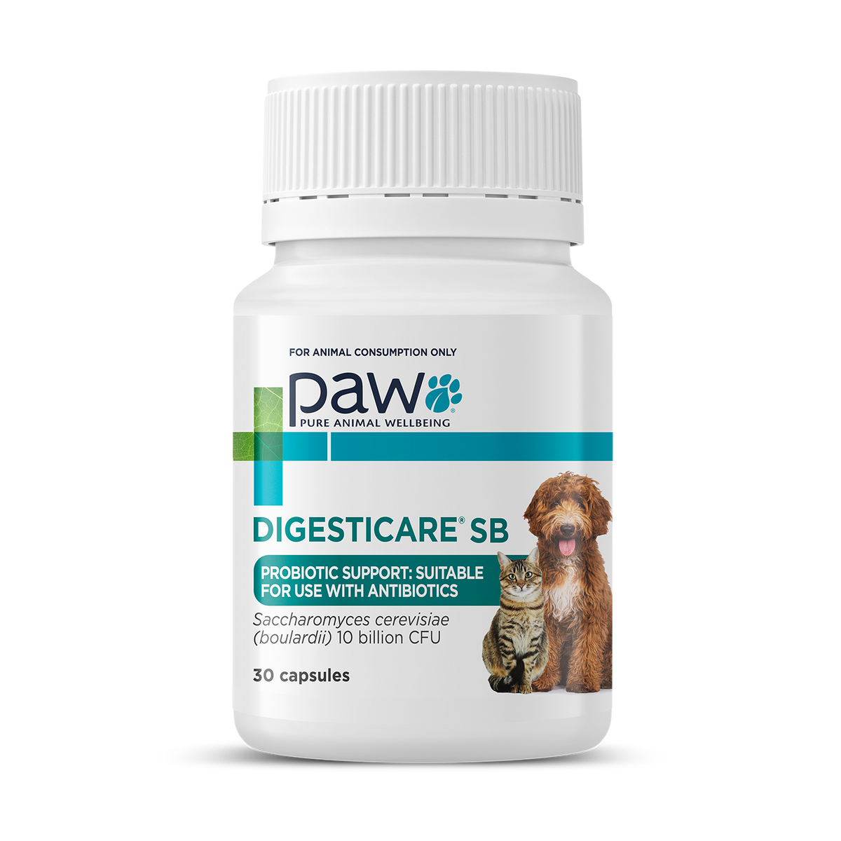 PAW DigestiCare® SB | Pure Animal Wellbeing (PAW)