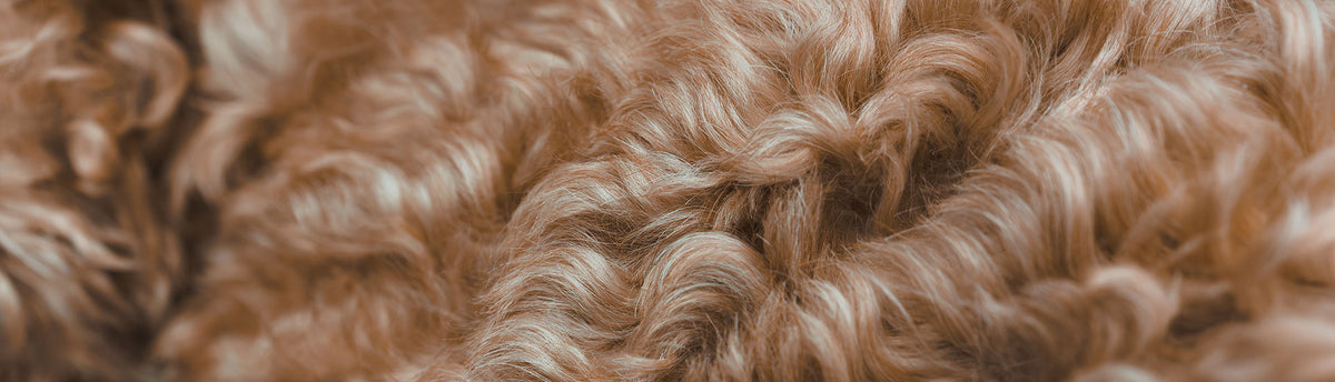 Close-up of a curly, shaggy faux fur or sheepskin material in warm tan and cream tones.