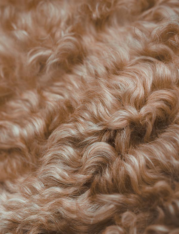 Close-up of a curly, shaggy faux fur or sheepskin-style textile in warm tan and light brown tones.
