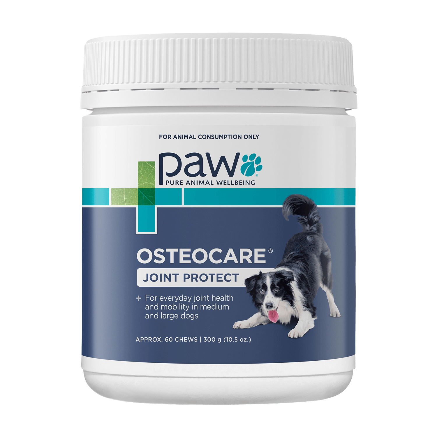 PAW OsteoCare® 60 Chews Front Label