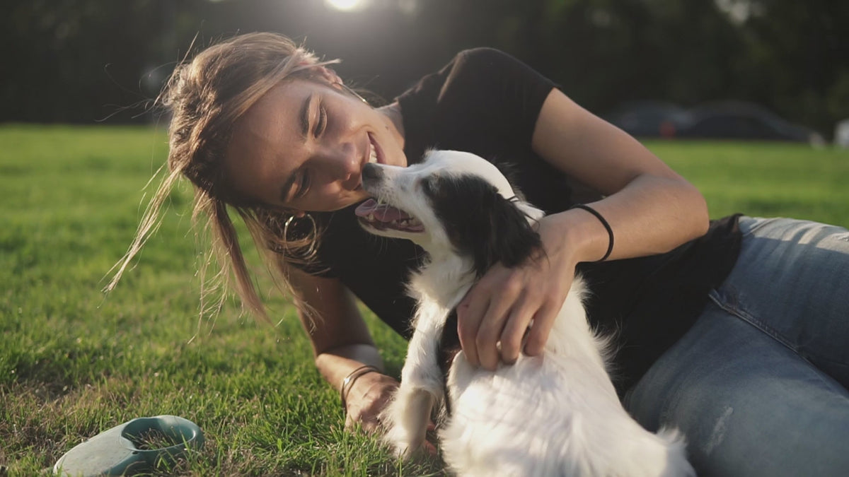 Person spending quality time with a small dog in a sunny park, highlighting the bond between pets and their owners.