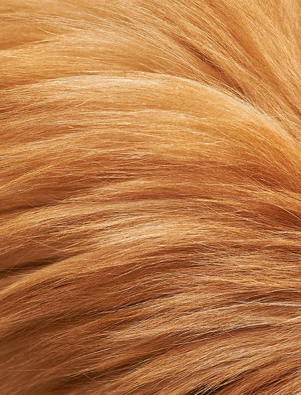 A close-up texture shot of straight, light golden-brown hair, showing individual strands and a soft, wavy shine.